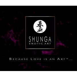 Олія Shunga APHRODISIAC WARMING OIL-Creamy Love Latte (100 мл) - 4