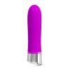 П. Вибратор Pretty Love Sebastian Mini Vibrator