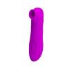 Вакуумный клиторальный стимулятор Romance Magic Flute suction Vibrator Purple