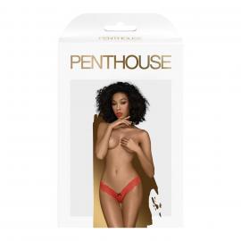 Эротическое женское белье Dangerous darling S/M red - 2