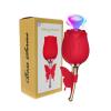 Вібростимулятор ROSE Flirting Partner USB