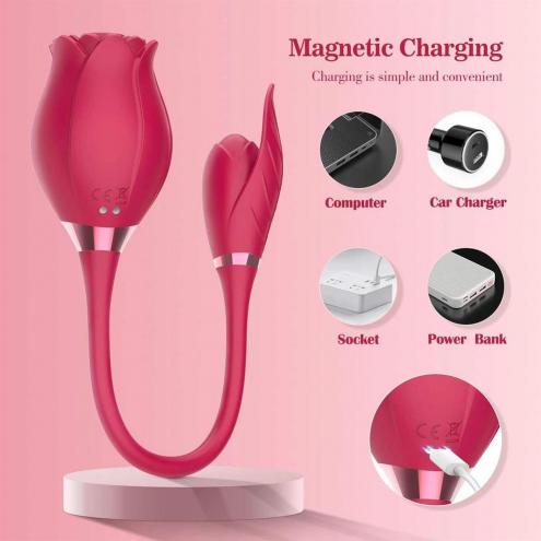 Вибростимулятор ROSE Miss Coyness USB