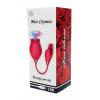 Вибростимулятор ROSE Miss Coyness USB