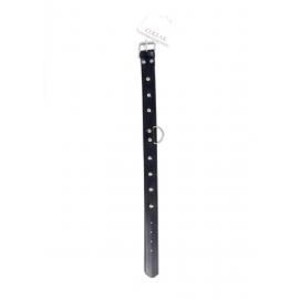 Нашийник Fetish Boss Series Collar with studs 3 cm - 2
