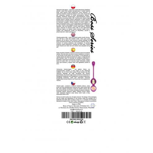 Вагинальные шарики 32mm 80g Purple 10 function USB Boss Series