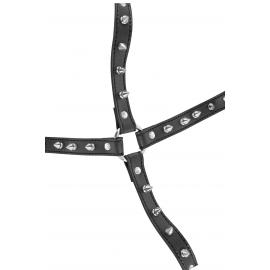 SEXY CHEST HARNESS WITH PICS - 4