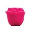 Вакуумный вибратор Clitoral Stimulator Rose Hera