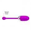Виброяйцо PRETTY LOVE -BROOK, 12 vibration functions Memory