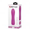 Вібратор PRETTY LOVE ALLEN 12 Functions USB