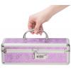 Кейс для зберігання секс-іграшок BMS Factory - The Toy Chest Lokable Vibrator Case з кодовим замком