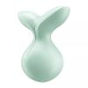 Мини-вибромассажер Satisfyer Viva la Vulva 3 Mint