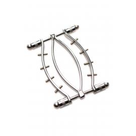 Зажим для вагины Master Series: Spread 'Em Poker Vagina Clamp with Adjustable Pressure Screws, шипы - 2