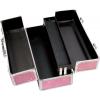 Великий кейс для секс-іграшок BMS Factory Large Lokable Vibrator Case Pink, кодовий замок