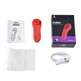 Вібратор у трусики Fun Town Caleo - 3