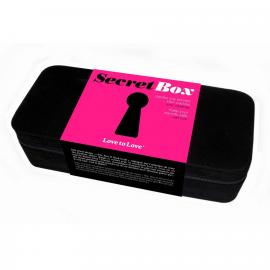 Бокс для зберігання секс-іграшок Love To Love Secret Box V2 з кодовим замком - 4