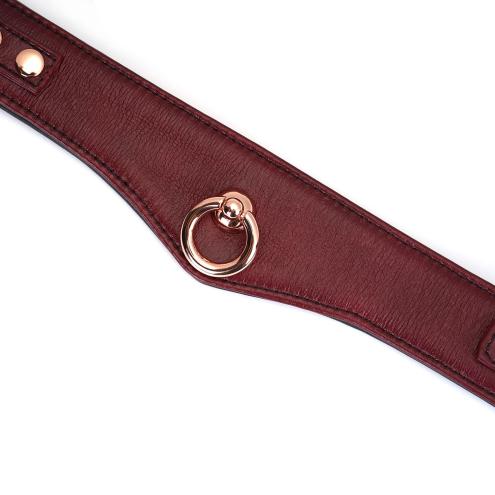 Ошейник с поводком Liebe Seele Wine Red Curved Collar