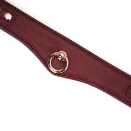 Нашийник з повідцем Liebe Seele Wine Red Curved Collar - 2
