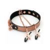 Ошейник с зажимами для сосков Liebe Seele Rose Gold Memory Collar with Nipple Clamps