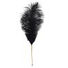 Лоскітка LOCKINK SEVANDA Natural Peacock Flirting Feather Tickler