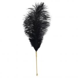 Лоскітка LOCKINK SEVANDA Natural Peacock Flirting Feather Tickler - 8
