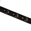 Нашийник з повідцем Liebe Seele Boudoir Amor Collar with Leash Black