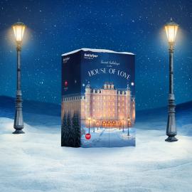 Подарочный набор Satisfyer Premium Advent Calendar 2025 - 5