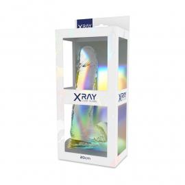 Прозрачный фаллоимитатор с мошонкой, 15 х 4,5 см XRAY (Испания) - 3