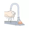 Мило у формі грудей Titty Soap, тілесне