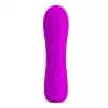 Вибратор PRETTY LOVE ALLEN 12 Functions USB
