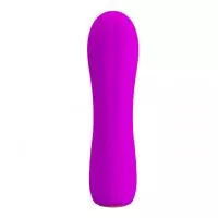 Вибратор PRETTY LOVE ALLEN 12 Functions USB