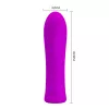 Вібратор PRETTY LOVE Alfreda Purple, Memory function 12 vibration functions
