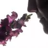 Духи жіночі Perfumy - blister 15 ml Flower