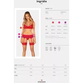 Комплект Obsessive Ingridia garter belt set (Червоний, XS/S) - 5