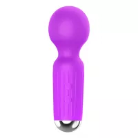 Вибростимулятор Rechargeable Mini Masager USB 20 Functions - Purple