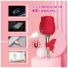 Вибростимулятор ROSE Flirting Partner USB