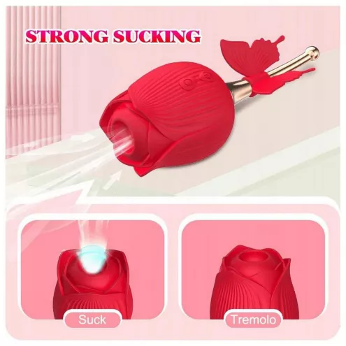 Вибростимулятор ROSE Flirting Partner USB