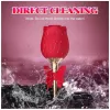 Вибростимулятор ROSE Flirting Partner USB