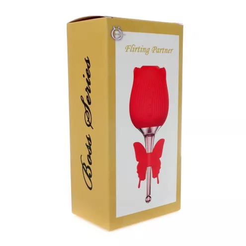 Вибростимулятор ROSE Flirting Partner USB