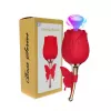 Вибростимулятор ROSE Flirting Partner USB