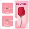 Вибростимулятор ROSE Flirting Partner USB