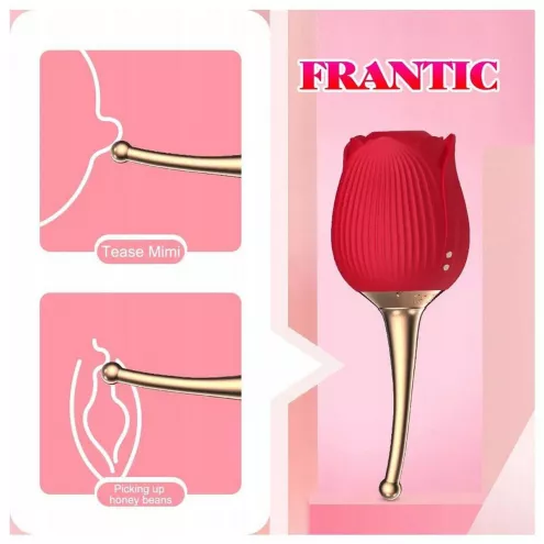 Вибростимулятор ROSE Flirting Partner USB