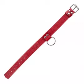 Нашийник Ring of Humiliti Red - 2