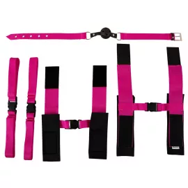 Набір БДСМ - Fetish Fantasy Series Pink Passion Bondage Kit - 6