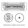 Мастурбатор двойной SKIN BLOWOUT DOUBLE SIDE STROKER