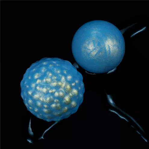 Вагинальные шарики KULKI OCEAN'S TONER EGG SET