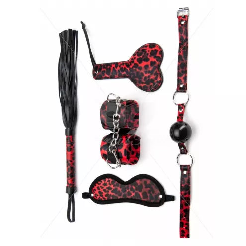 Набір для БДСМ ігор 5 Pieces Leopard Bondage Set