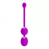 Вагинальные шарики Pretty love Werner USB 12 function