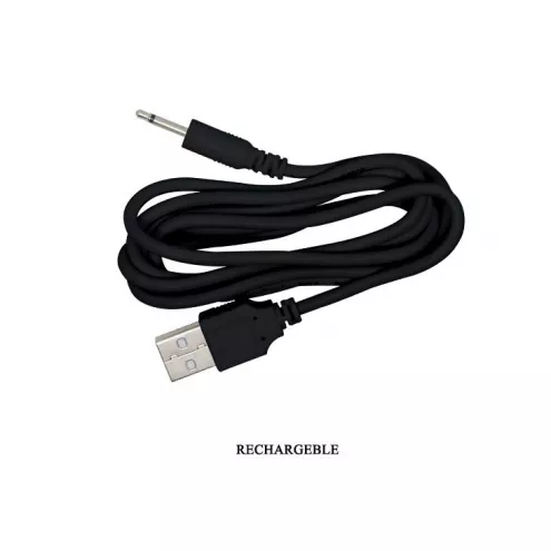 Вибратор PRETTY LOVE ALGERNON USB Black 12 function