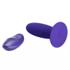 Анальна пробка з пультом керування PRETTY LOVE REMOTE CONTROL VIBRATING PLUG 12