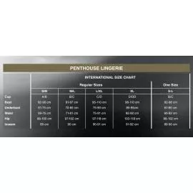 Боди с глубоким декольте и высокими трусиками Penthouse - Toxic Powder White M/L - 3